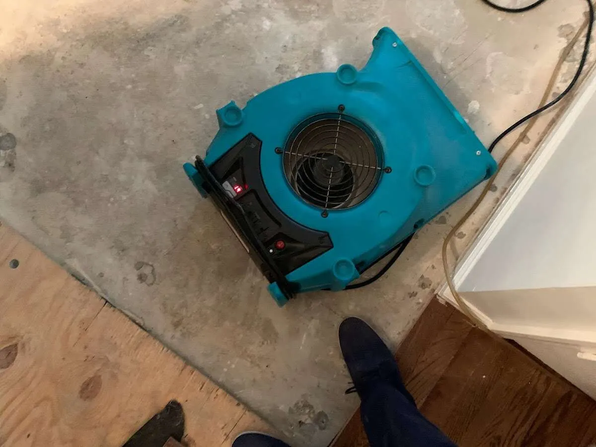 Air mover drying subfloor during Commercial Water Damage Restoration in Oakton